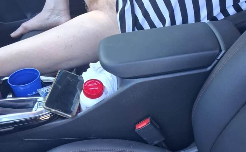 Why Did He Flash His Hairy Cock in the Car?